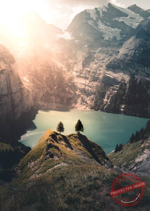 Oeschinensee Kandersteg 2 Tannen im Sonneaufgang