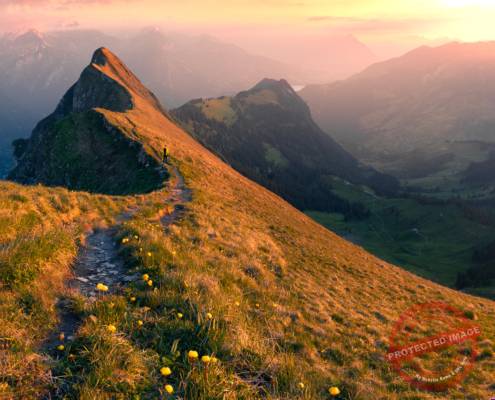 Augstmatthorn Aussicht Harder Kulm, Suggiture