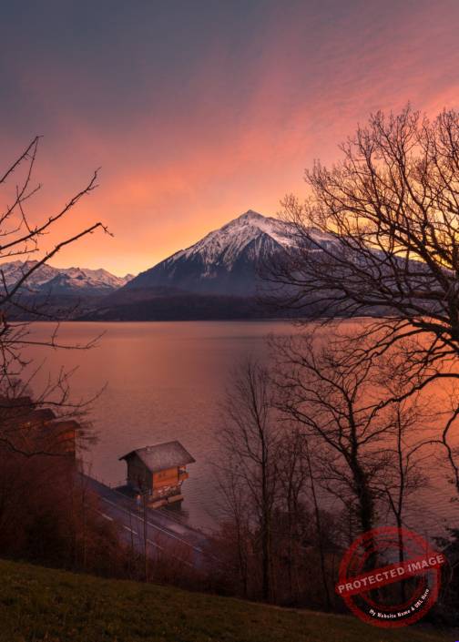 Niesen bei Abendrot mit Thunersee
