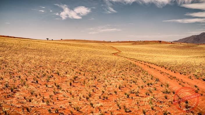 red sand desert dune Namibia