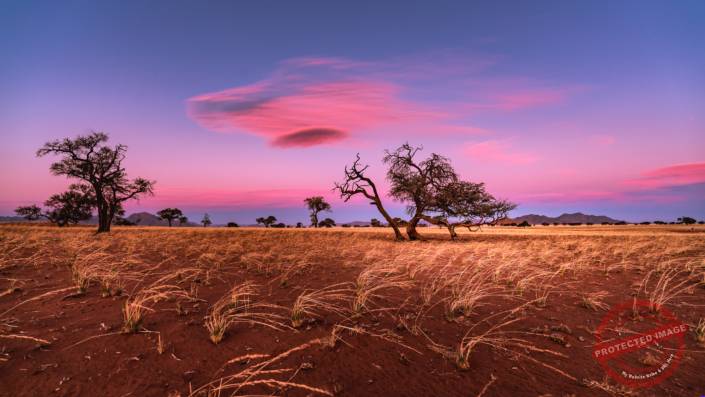 red sand desert dune Namibia