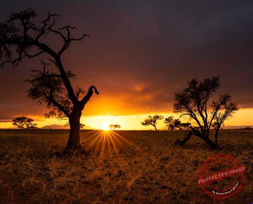 red sand desert dune Namibia