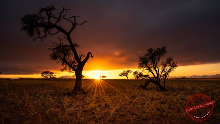 red sand desert dune Namibia