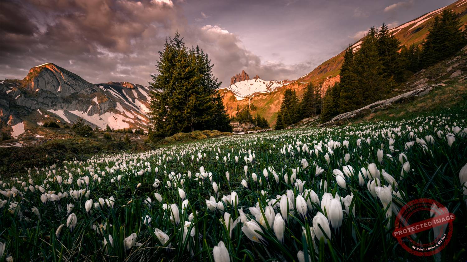 Berneroberland_7.1 Oliver Dietschi Photography