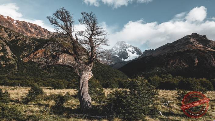 PASO DEL VIENTO