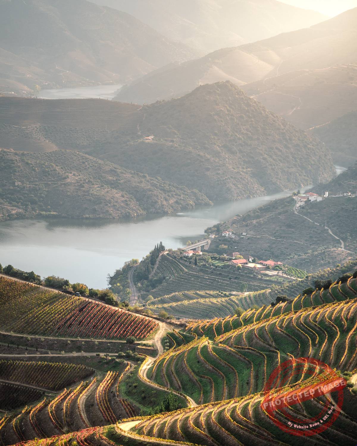 Portugal_1_100S The Douro Valley Pinhao