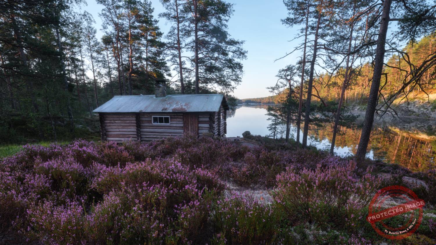 schweden_3 Tresticklan Nationalpark, unebrührte Natur