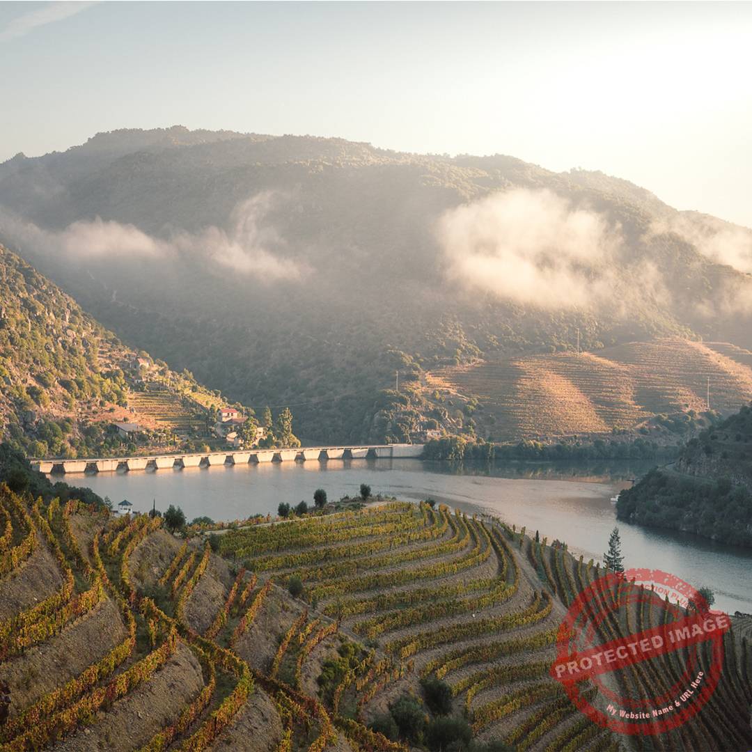 Portugal_3_100S-3 Portugal Douro Valley